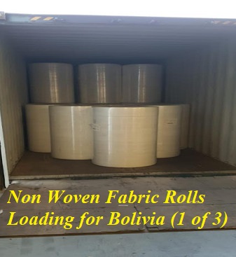 Non Woven Fabric Rolls Loading for Bolivia (1 of 3)