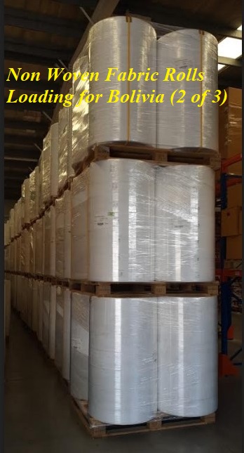 Non Woven Fabric Rolls Loading for Bolivia (2 of 3)